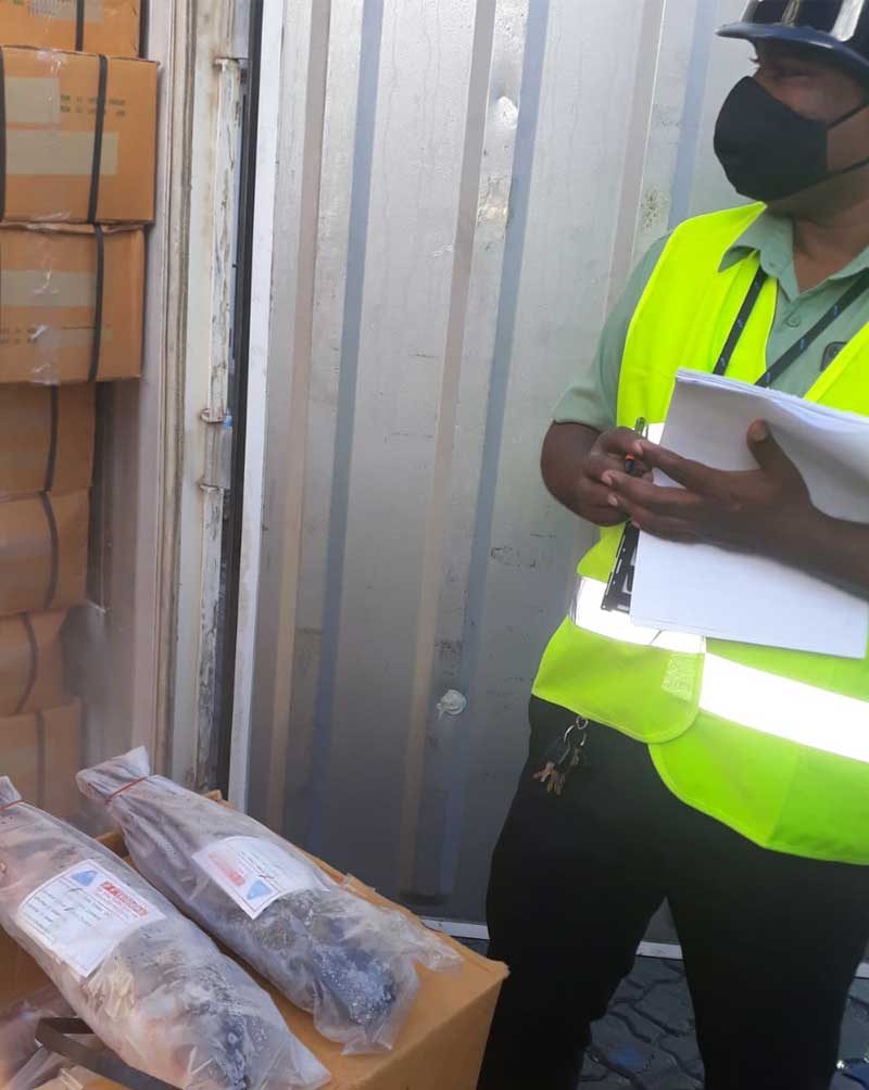 Quality inspection of a seafood export shipment