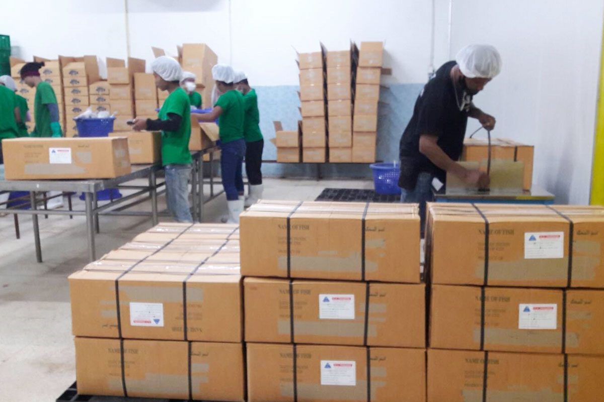 Workers packing processed fish for export